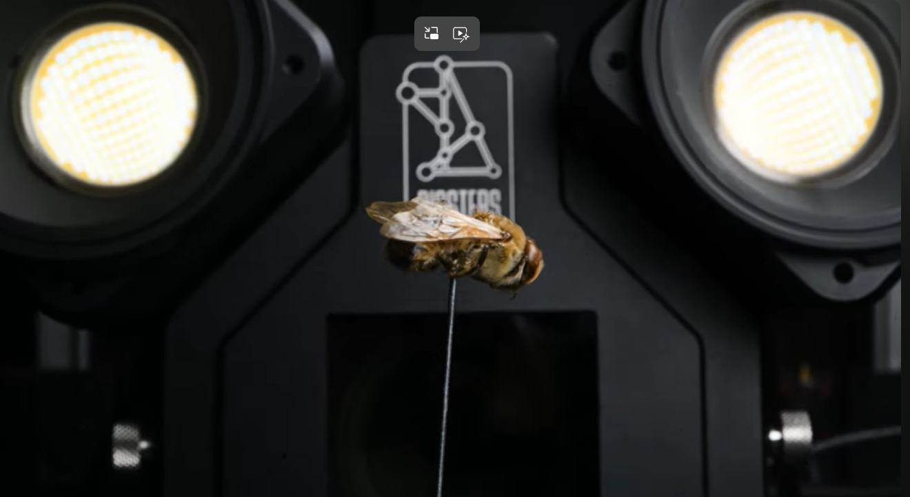 a Rigsters Arago unit capturing a bee